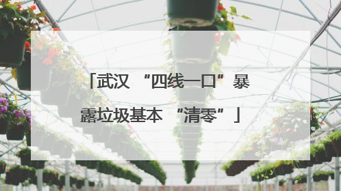 武汉 “四线一口”暴露垃圾基本 “清零”