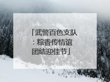 武警百色支队：粽香传情谊 团结迎佳节