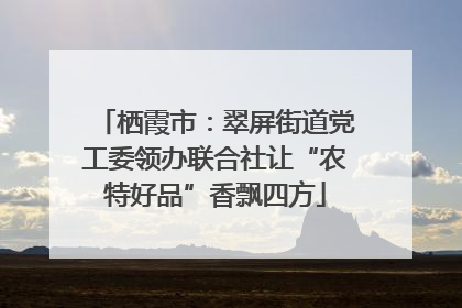 栖霞市：翠屏街道党工委领办联合社让“农特好品”香飘四方