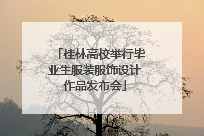 桂林高校举行毕业生服装服饰设计作品发布会