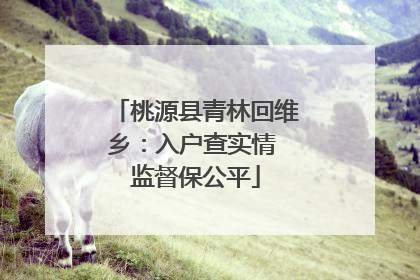 桃源县青林回维乡：入户查实情 监督保公平