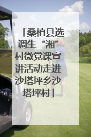 桑植县选调生“湘”村微党课宣讲活动走进沙塔坪乡沙塔坪村