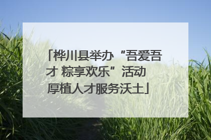 桦川县举办“吾爱吾才 粽享欢乐”活动 厚植人才服务沃土