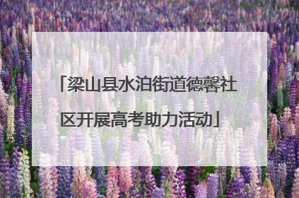 梁山县水泊街道德馨社区开展高考助力活动