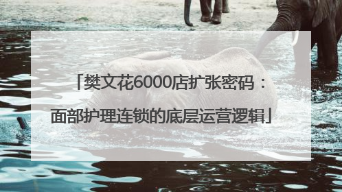 樊文花6000店扩张密码：面部护理连锁的底层运营逻辑