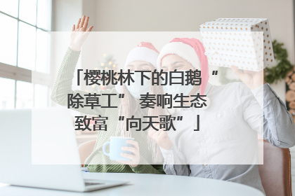 樱桃林下的白鹅“除草工” 奏响生态致富“向天歌”