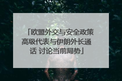 欧盟外交与安全政策高级代表与伊朗外长通话 讨论当前局势