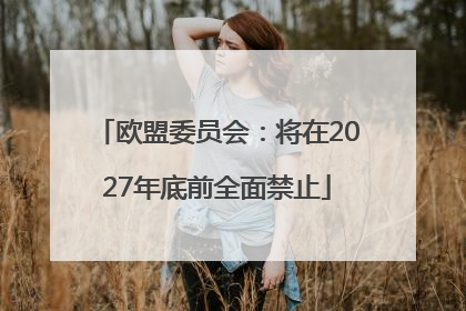 欧盟委员会：将在2027年底前全面禁止