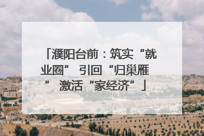 濮阳台前：筑实“就业圈” 引回“归巢雁” 激活“家经济”