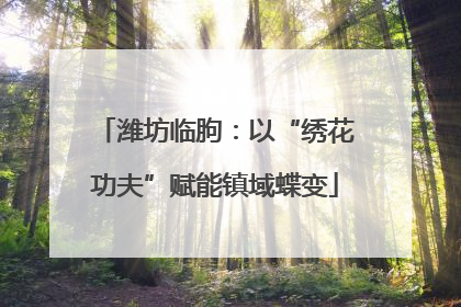 潍坊临朐：以“绣花功夫”赋能镇域蝶变