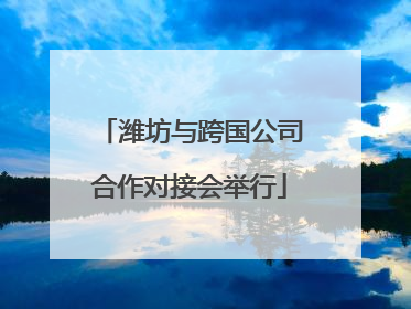 潍坊与跨国公司合作对接会举行