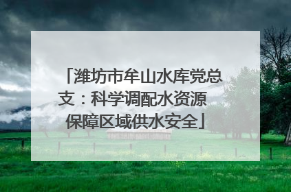 潍坊市牟山水库党总支：科学调配水资源 保障区域供水安全