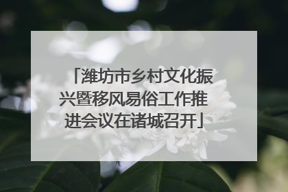 潍坊市乡村文化振兴暨移风易俗工作推进会议在诸城召开