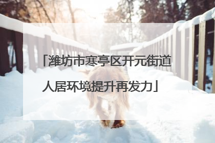潍坊市寒亭区开元街道人居环境提升再发力