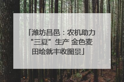 潍坊昌邑：农机助力“三夏”生产 金色麦田绘就丰收图景