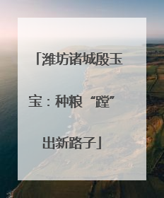 潍坊诸城殷玉宝：种粮“蹚”出新路子
