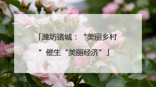潍坊诸城：“美丽乡村”催生“美丽经济”