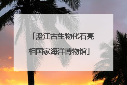 澄江古生物化石亮相国家海洋博物馆