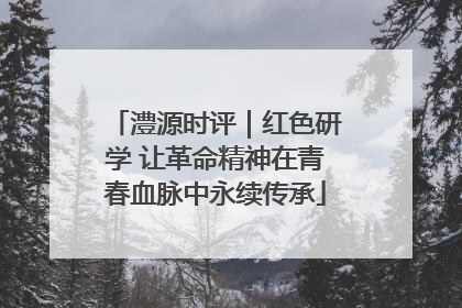 澧源时评｜红色研学 让革命精神在青春血脉中永续传承