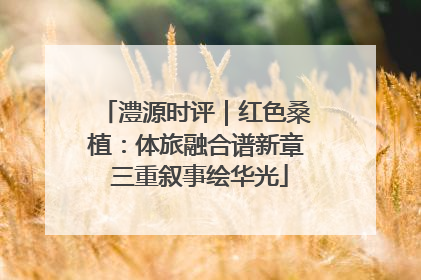 澧源时评｜红色桑植：体旅融合谱新章 三重叙事绘华光