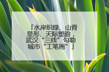 水岸织绿、山脊显形、天际塑韵，武汉“三线”勾勒城市“工笔画”