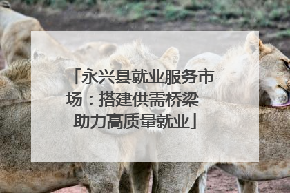 永兴县就业服务市场：搭建供需桥梁 助力高质量就业