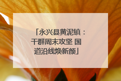 永兴县黄泥镇：干群周末攻坚 国道沿线焕新颜