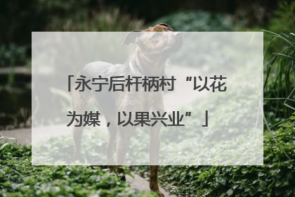 永宁后杆柄村“以花为媒，以果兴业”