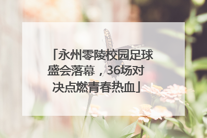 永州零陵校园足球盛会落幕，36场对决点燃青春热血