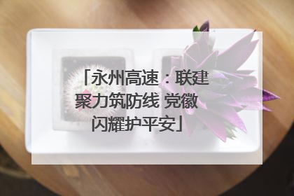 永州高速：联建聚力筑防线 党徽闪耀护平安