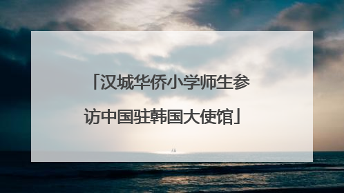 汉城华侨小学师生参访中国驻韩国大使馆