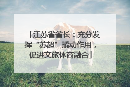 江苏省省长：充分发挥“苏超”撬动作用，促进文旅体商融合