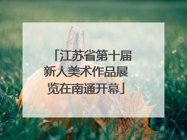 江苏省第十届新人美术作品展览在南通开幕