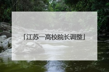 江苏一高校院长调整