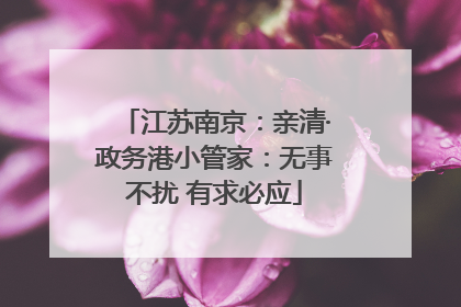 江苏南京：亲清·政务港小管家：无事不扰 有求必应
