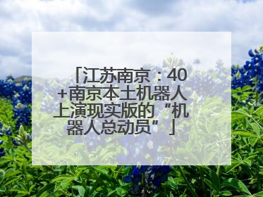 江苏南京：40+南京本土机器人上演现实版的“机器人总动员”