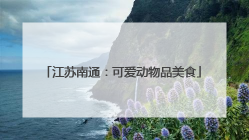 江苏南通：可爱动物品美食