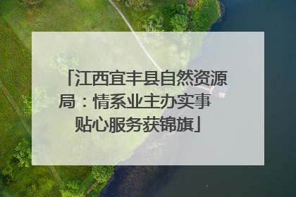 江西宜丰县自然资源局：情系业主办实事 贴心服务获锦旗