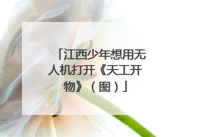 江西少年想用无人机打开《天工开物》（图）