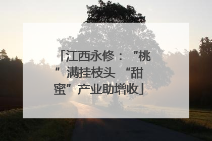 江西永修：“桃”满挂枝头 “甜蜜”产业助增收