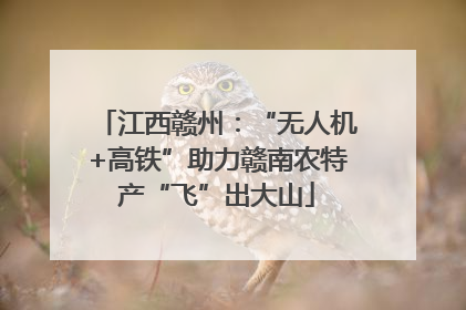 江西赣州：“无人机+高铁”助力赣南农特产“飞”出大山