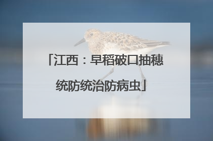 江西：早稻破口抽穗 统防统治防病虫