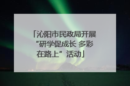 沁阳市民政局开展“研学促成长 多彩在路上”活动