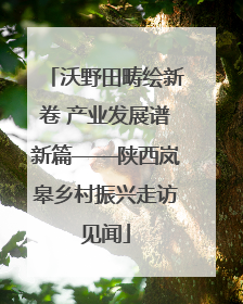 沃野田畴绘新卷 产业发展谱新篇——陕西岚皋乡村振兴走访见闻