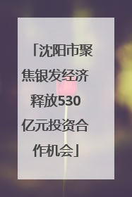 沈阳市聚焦银发经济释放530亿元投资合作机会