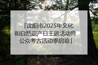 沈阳市2025年文化和自然遗产日主题活动暨公众考古活动季启幕