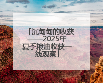 沉甸甸的收获——2025年夏季粮油收获一线观察