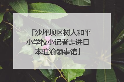 沙坪坝区树人和平小学校小记者走进日本驻渝领事馆