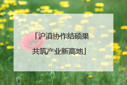 沪滇协作结硕果 共筑产业新高地