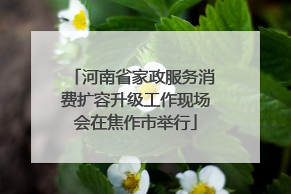 河南省家政服务消费扩容升级工作现场会在焦作市举行